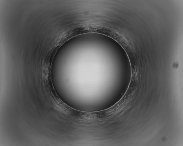 X0000100311012200806121035