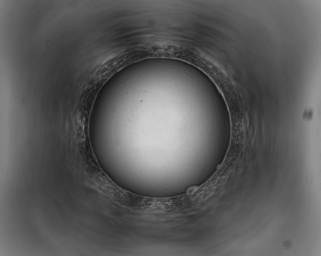 X0000100311013200806121035