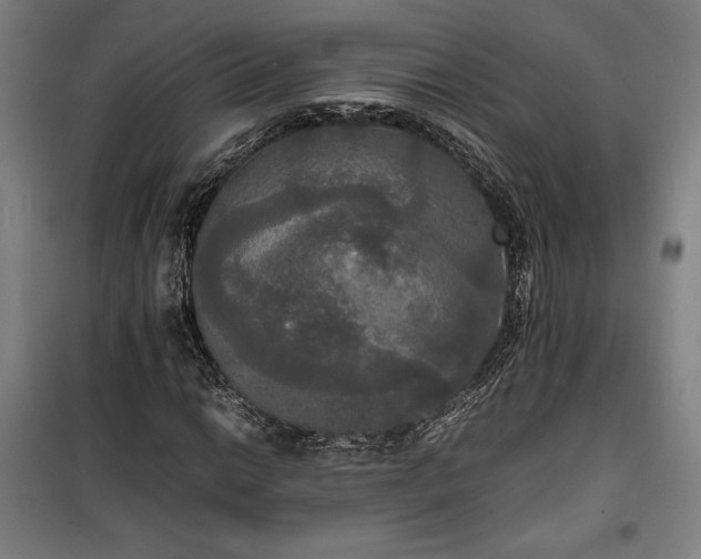 X0000100311014200806121035