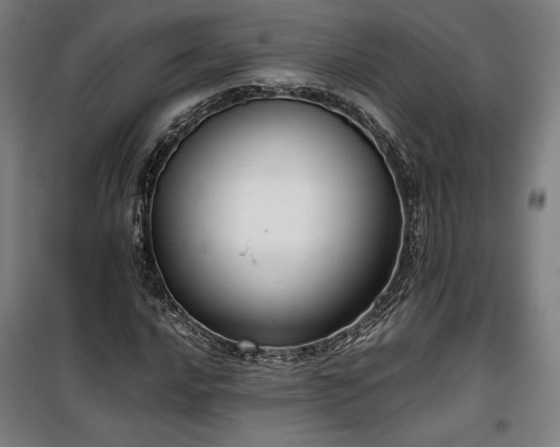 X0000100311016200806121035