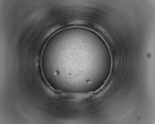X0000100311017200806121035