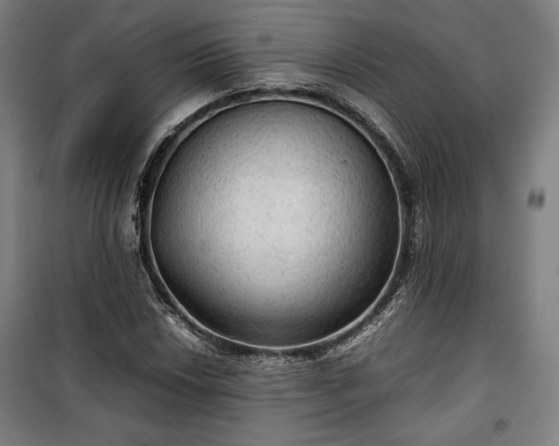 X0000100311018200806121035