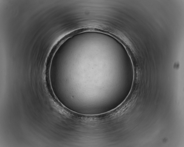 X0000100311020200806121036
