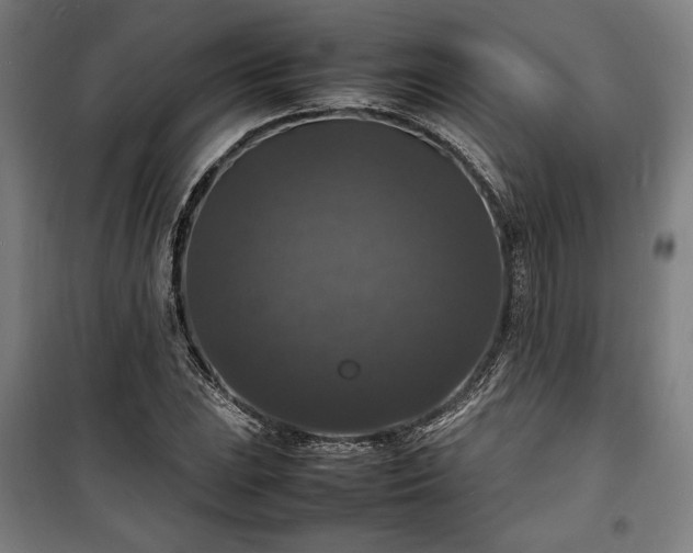 X0000100311023200806121036