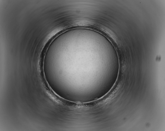 X0000100311026200806121036