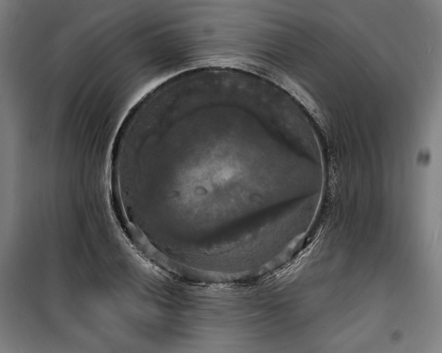 X0000100311028200806121036