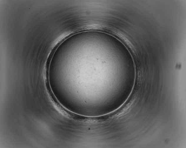 X0000100311034200806121036