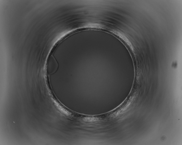 X0000100311037200806121036