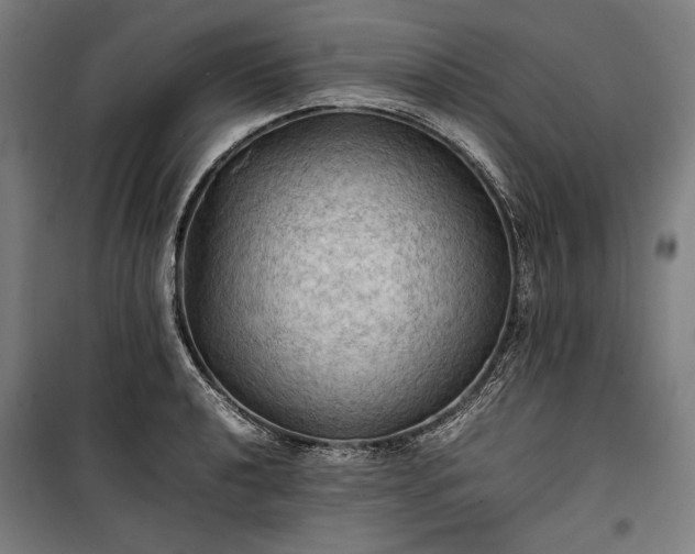 X0000100311040200806121036