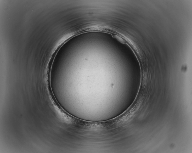 X0000100311042200806121036