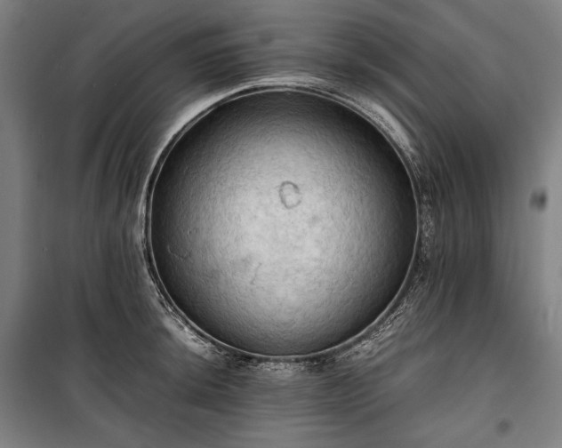X0000100311044200806121036