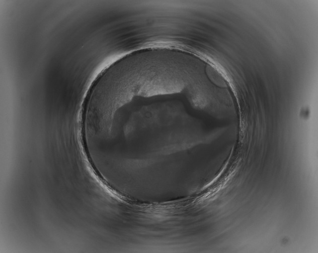 X0000100311045200806121036