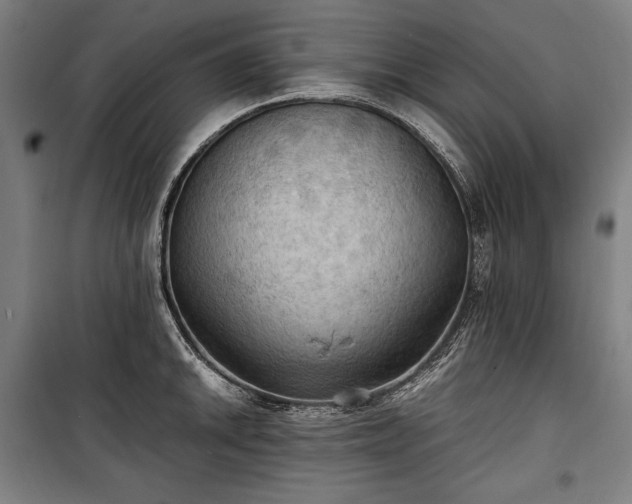 X0000100311046200806121036