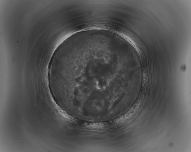 X0000100311047200806121036