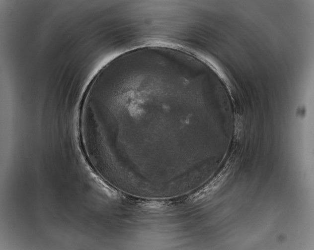 X0000100311048200806121036