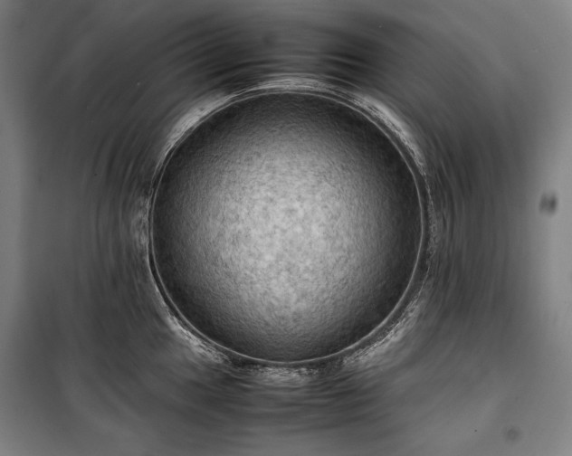 X0000100311049200806121036