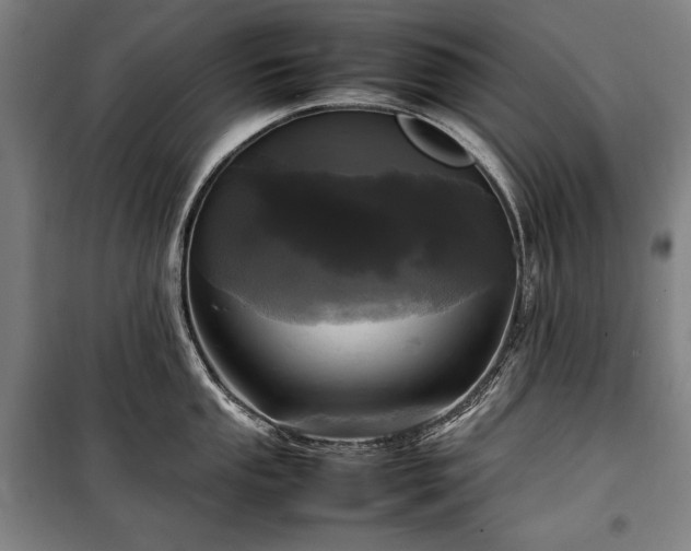 X0000100311053200806121036