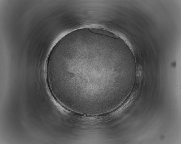 X0000100311054200806121036