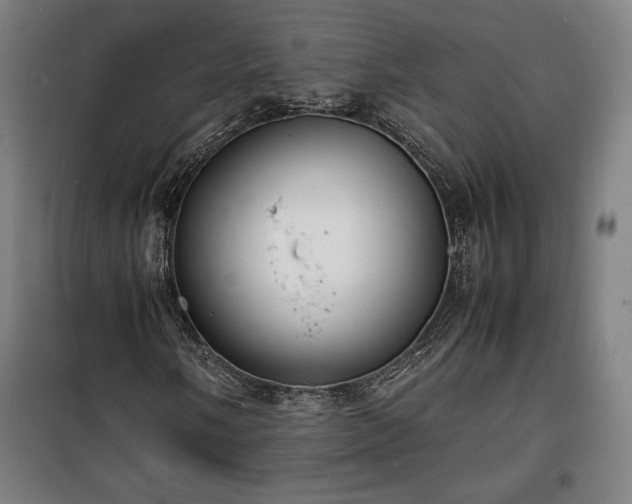 X0000100311058200806121035