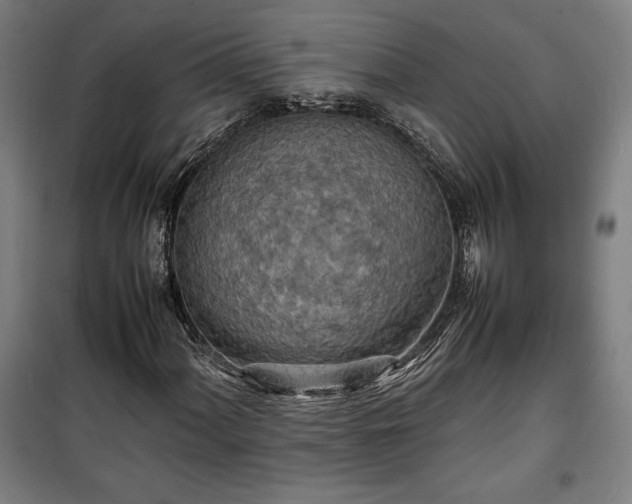 X0000100311060200806121035