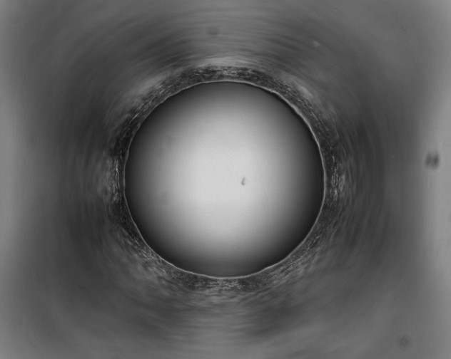 X0000100311062200806121035