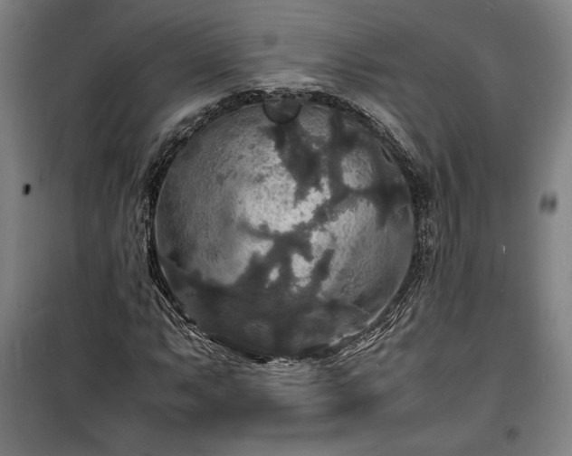 X0000100311063200806121035