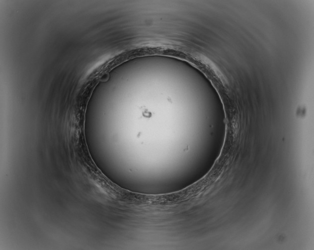 X0000100311064200806121035
