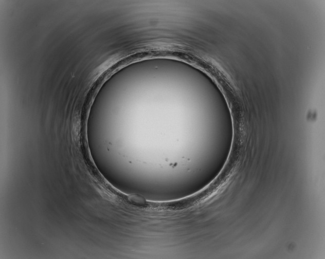 X0000100311065200806121035
