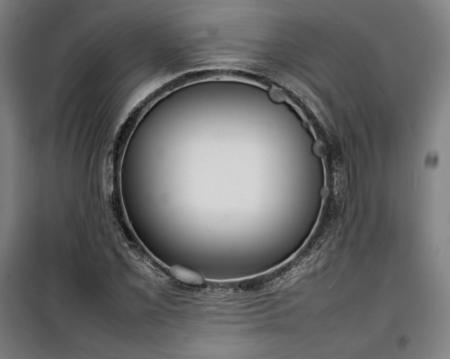 X0000100311069200806121035