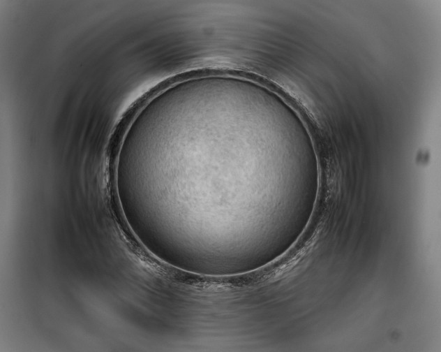 X0000100311070200806121035