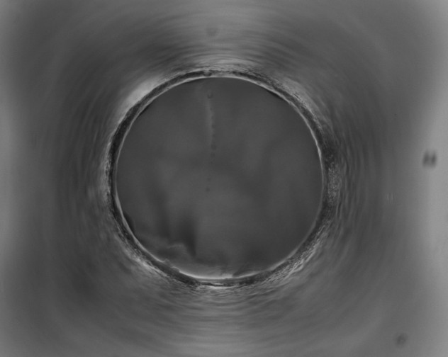 X0000100311071200806121035