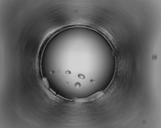 X0000100311072200806121035