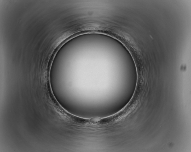 X0000100311073200806121035
