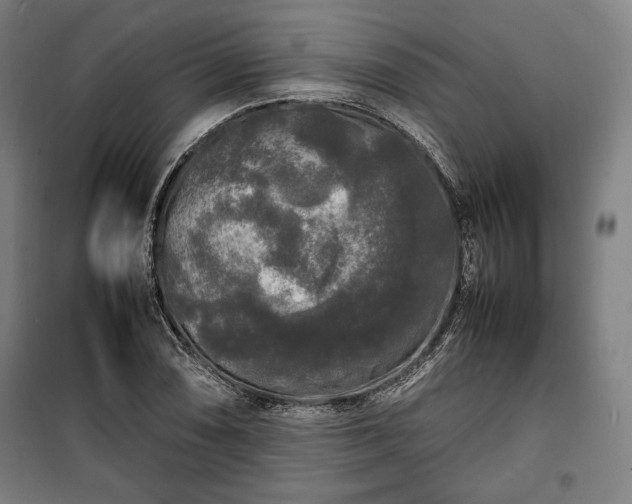 X0000100311074200806121035