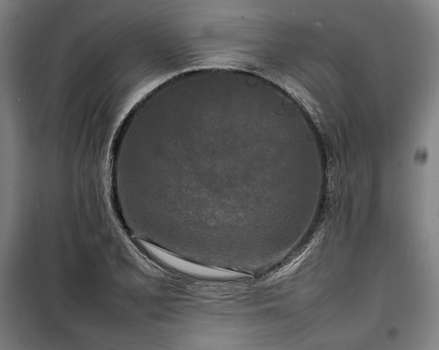 X0000100311077200806121035