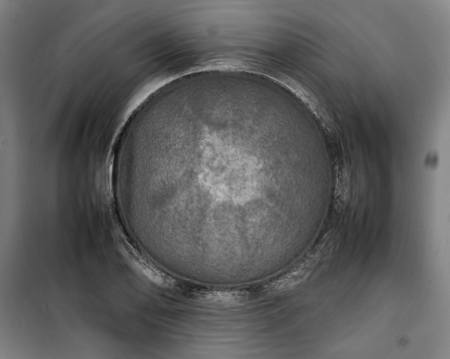 X0000100311078200806121035