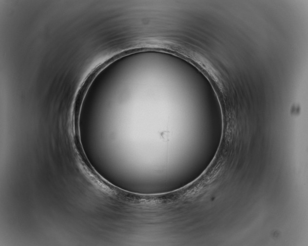 X0000100311080200806121035