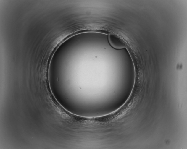 X0000100311081200806121035