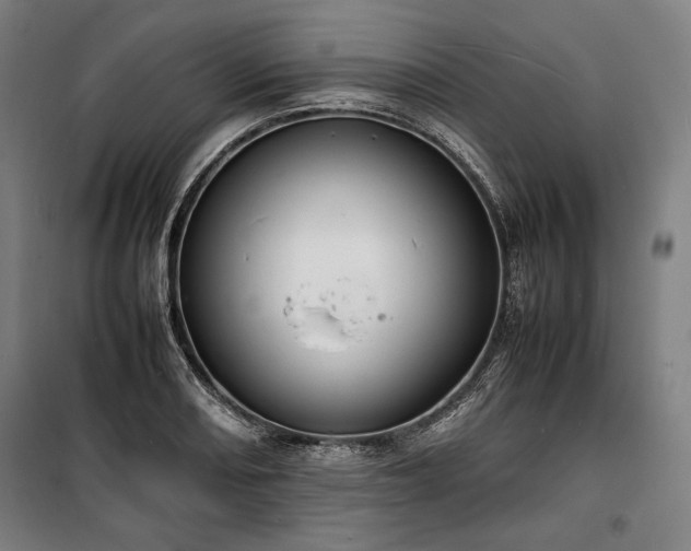 X0000100311082200806121035