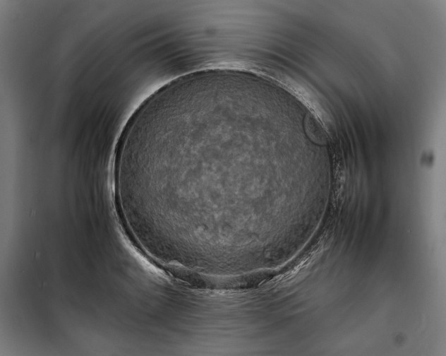 X0000100311084200806121035