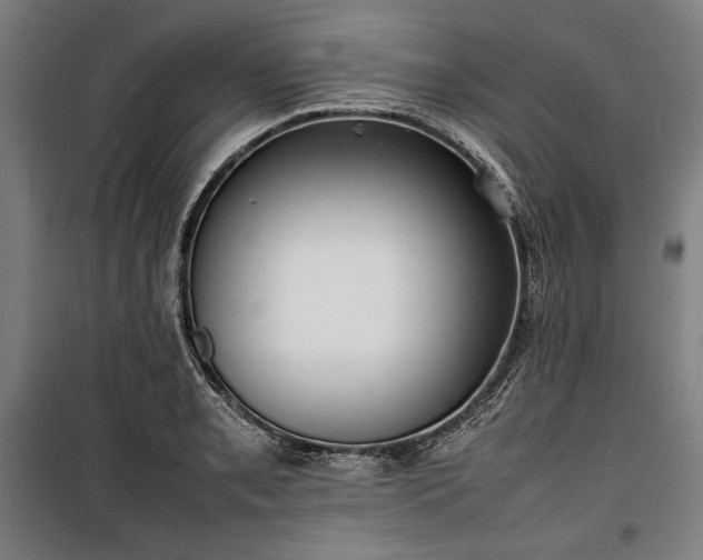 X0000100311085200806121035