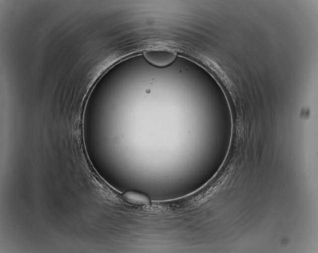 X0000100311089200806121035