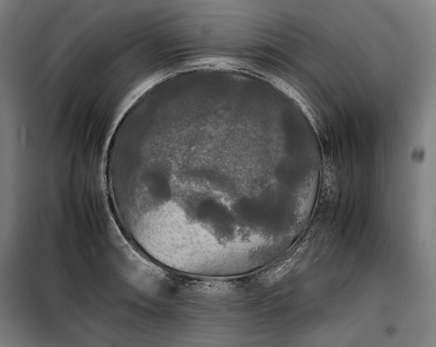 X0000100311090200806121035