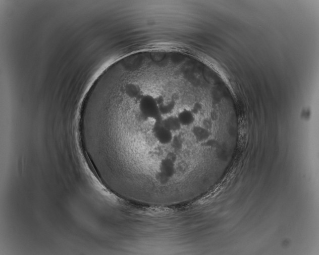 X0000100311091200806121035
