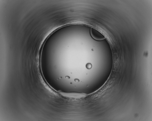 X0000100311092200806121035