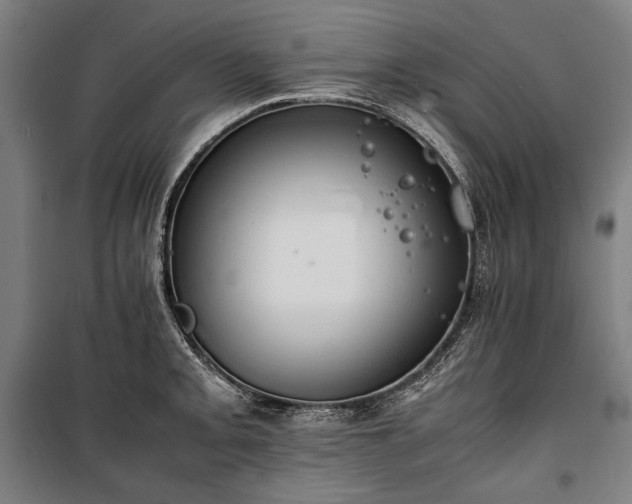 X0000100311093200806121035