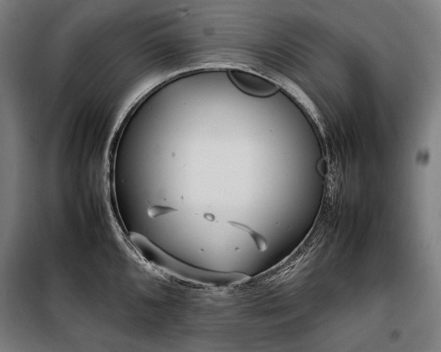 X0000100311096200806121035