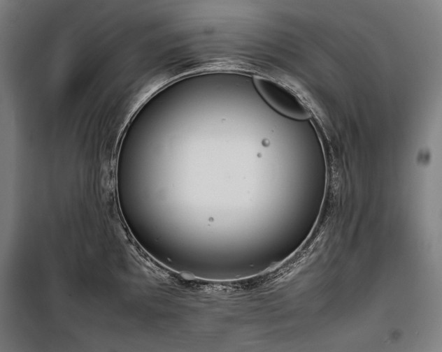 X0000100311097200806121035