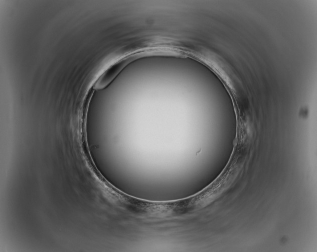 X0000100311101200806121035