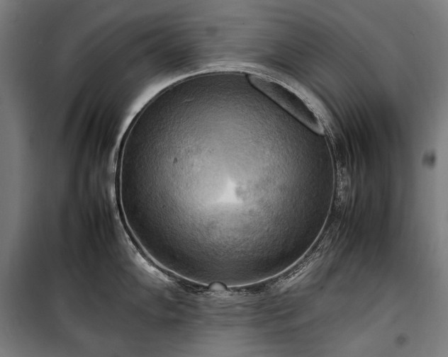 X0000100311102200806121035